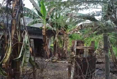 76 Desa dan Kelurahan di Batanghari Masuk Zona Rawan Karhutla