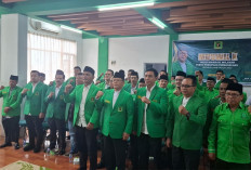 Fadhil Arief Kembali Pimpin PPP Jambi 