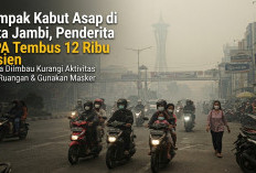 Dampak Kabut Asap di Kota Jambi, Penderita ISPA Tembus 12 Ribu Pasien