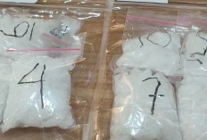 Kasus Narkoba di Jambi Meningkat 25 Persen Awal 2026