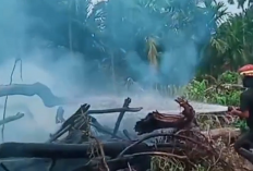 Diduga Karena Bakar Sampah, Kebakaran Lahan Terjadi di Desa Aur Cino, Tebo