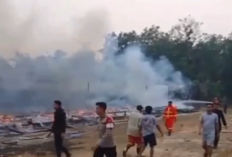 Kebakaran Hebat Hantam Kandang Ayam di Sungai Bertam, Kerugian Ditaksir Rp1 Miliar