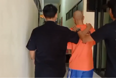 Diduga Cabuli Murid, Oknum Guru Honorer SD di Tebo Diciduk Polisi
