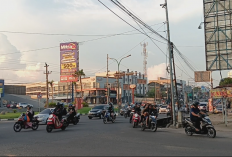 Angka Pengangguran di Jambi Capai Jumlah 82 Ribu Jiwa, Turun sejak Agustus 2024