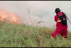 Karhutla Jambi Al Haris Minta Alat Berat Untuk Padamkan Karhutla Di Berbak Sembilang Kota Jambi