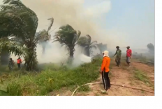 Karhutla Sungai Aur Hari Ke-4 Belum Padam, Sekitar 30 Hektare Lahan Terbakar