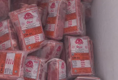Kebutuhan Daging Segar dan Beku Meningkat di Ramadhan
