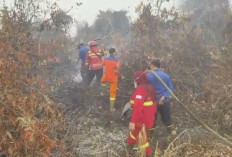 Asap Kembali Selimuti Sarolangun, Karhutla Hanguskan Lahan di Sungai Abang