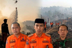 Tahura Sultan Thaha Syaifuddin Terbakar Lagi, Enam Hektare Lahan Hangus