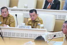 Raker, RDP dan RDPU Bersama Komisi II DPR RI, Al Haris Perjuangkan Nasib P3K Penuh Waktu dan Paruh Waktu