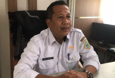 Musim Kemarau Tiba, Pemkab Tanjab Timur Fokus Basahi Gambut Cegah Karhutla