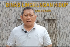 Kasus Karhutla Terus Meningkat, DLH Ingatkan Berdampak Pada Memburuknya Kualitas Udara Di Sarolangun 
