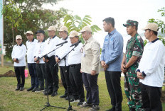 Gerakan Penanaman Serentak, Gubernur Al Haris ajak tingkatkan kesadaran jaga lingkungan