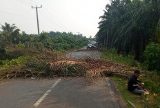 Buntut PETI di Perbatasan Desa Punti Kalo dan Teluk Langkap, Warga Blokir Jalan Padang Lamo