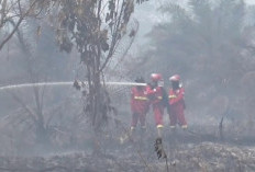 Sekda Jambi Minta Dana Banpres untuk Penanganan Karhutla Dimanfaatkan Optimal