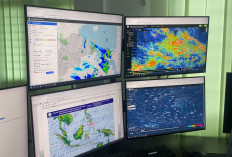 BMKG Catat 59 Hotspot di Jambi, Hujan Diprakirakan Turun Hari Ini
