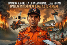 Dampak Karhutla di Batang Hari, Luas Hutan dan Lahan Terbakar Capai 1.316 Hektare