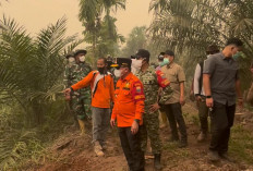 Angin Kencang dan Sulitnya Sumber Air Hambat Pemadaman Karhutla di Kumpeh Muaro Jambi