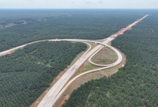 Hutama Karya Kebut Pembangunan Jalan Tol Trans Sumatera Betung - Tempino - Jambi, Progres Terus Meningkat