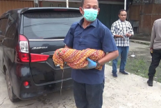 Polisi Telah Periksa Saksi, Atas Penemuan Mayat Bayi Di Kebun Pisang