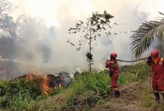 Hari Keempat, Petugas Masih Berjibaku Padamkan Karhutla di Air Hitam Sarolangun