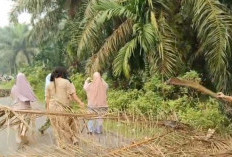 Warga Desa Punti Kalo Kembali Blokir Jalan Padang Lamo 