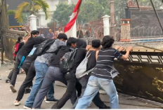 Desak Penanganan Karhutla, Massa Rusak Pagar Kantor Gubernur Jambi